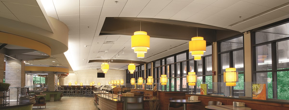 Focus Dg Acoustical Ceiling Panels Certainteed