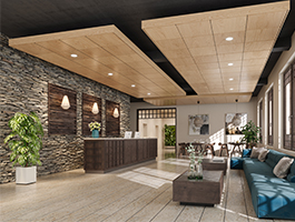 Specialty Ceilings And Walls Certainteed